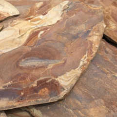 Золотая осень